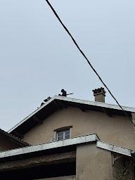 Photo n°22 de Meunier Couverture-Zinguerie à Jujurieux (Charpentier)