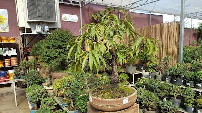 Photos of Shopping Garden Tatuap&eacute;