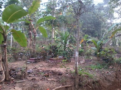 Photos of Lapangan Ds Pulasari