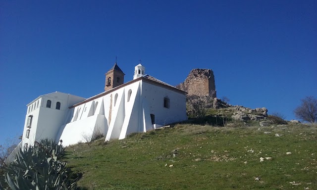 Almohalla 51