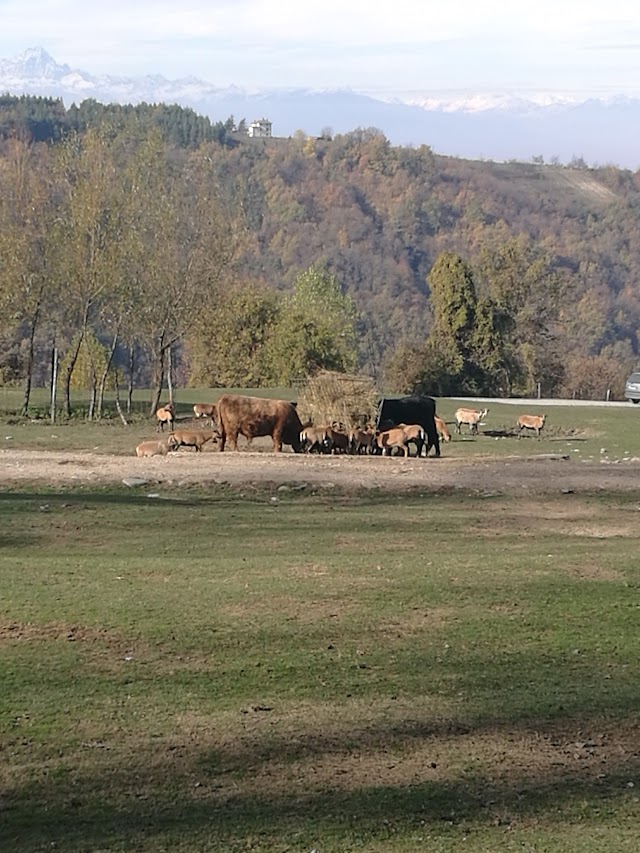 Parco Safari delle Langhe