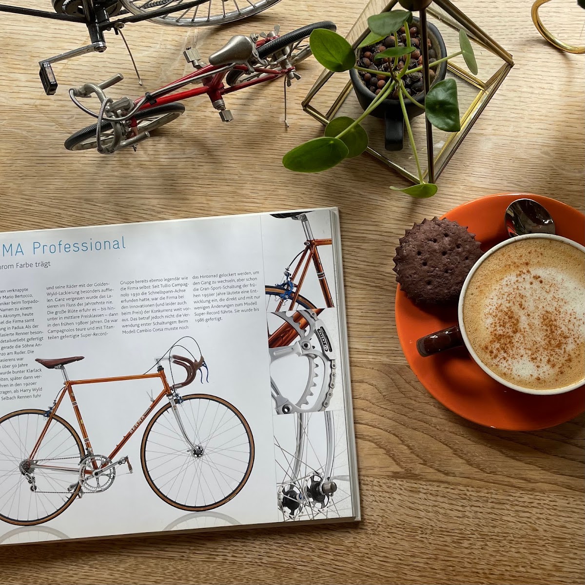 The Rolling Dackel - Bike Service & Vegan Café — photo 9