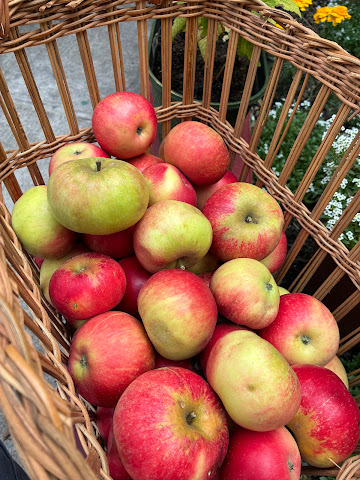 Small Changes Wholefoods Store by null