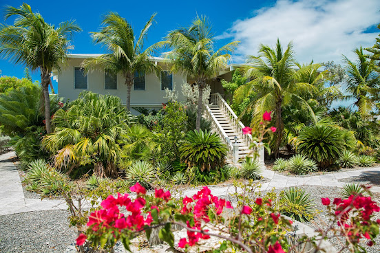 Paradise Photography by null