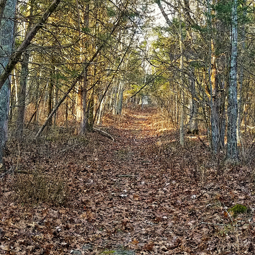 Quiet Trails State Nature Preserve