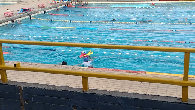Opiniones de Piscina Olimpica de Arica en Arica - Gimnasio