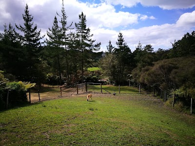 Photos of Whiti Farm Park