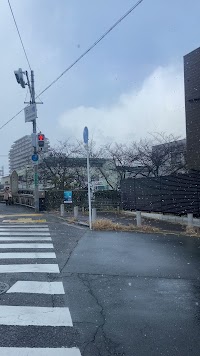 あやのはりきゅう整骨院