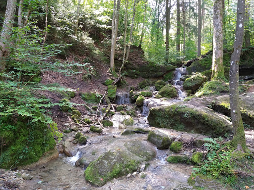 Feuersteinschlucht