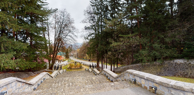 Soveja - Constanța