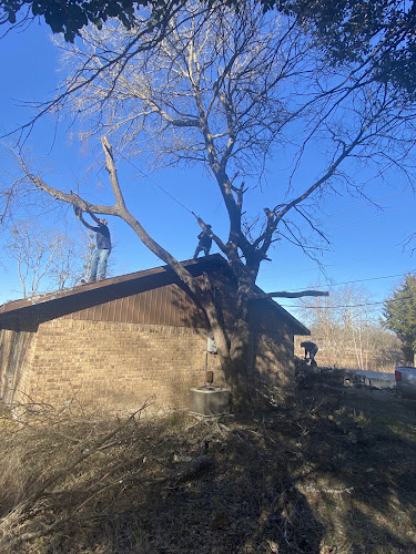 A Lot 4 Less Tree Service