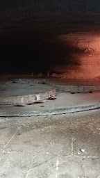 Photo n°13 de Tondo Pizza à Martigues (Restauration rapide)