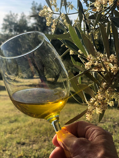 La Biodiversa Aceite de Oliva - Thumbnail
