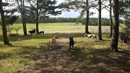 Gosdogwalking