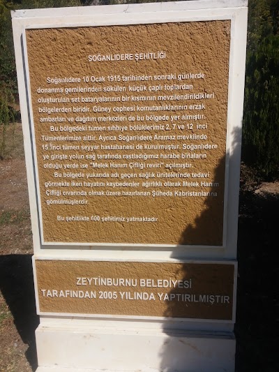 Photos of Soğanlıdere Şehitliği
