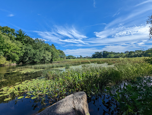 Merrill S Whipple Conservation Area Gallery - United States