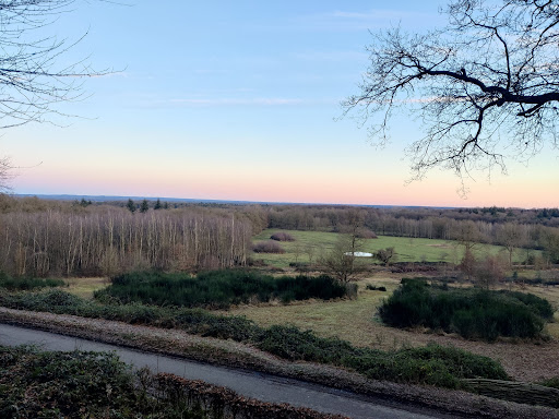 Tankenberg - Visual