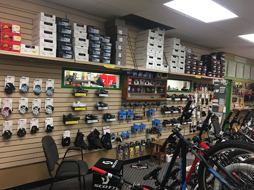 BIKE513 - Visual