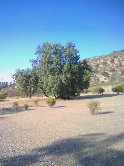 Photos of Ruta Lo Prado 01