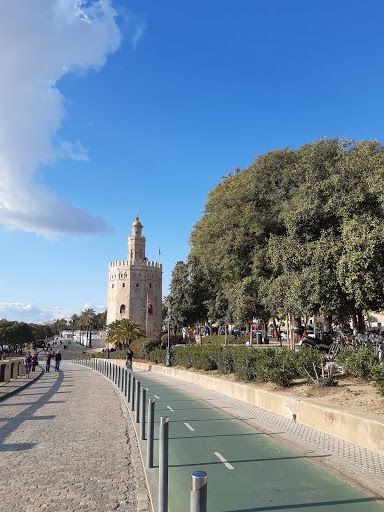 Plaza de Cuba - Thumbnail