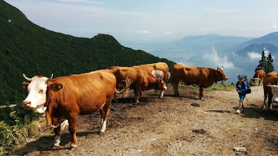 Photos of Herzogstand