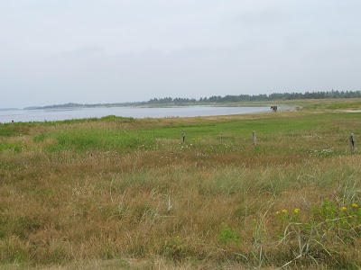 Photos of Nissum Fjord