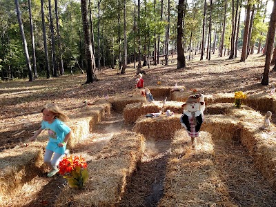 Photos of Paradise Pumpkin Patch