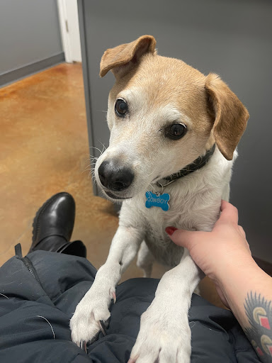 Parmer Lane Pet Hospital - Thumbnail