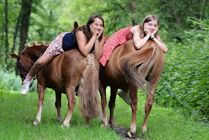 Photo n°1 de Centre Équestre de Sainte-Hélène du Lac - JUVENTIN à Sainte-Hélène-du-Lac (Centre de randonnée équestre)