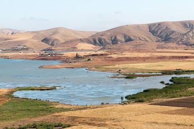 Photos of caf&eacute; el ouali