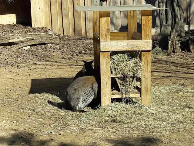 ZOA Sanary Bandol - Parc Animalier et exotique