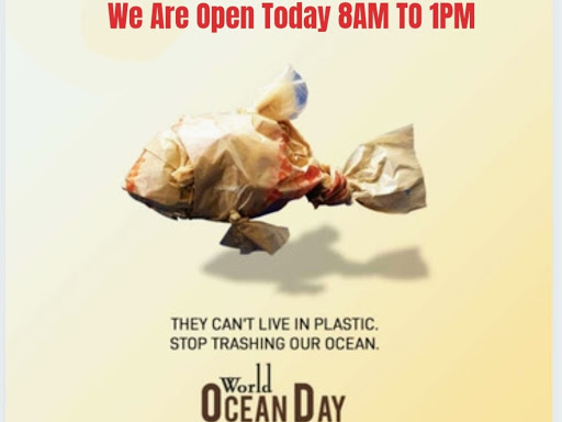 World ocean Day post image