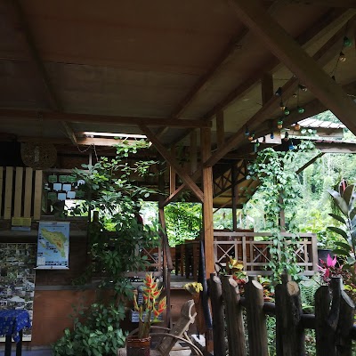Photos of thousand hills ketambe sumatra