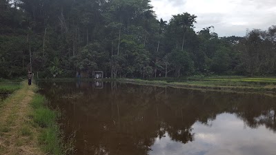 Photos of Lumban Sirait, Sibadihon