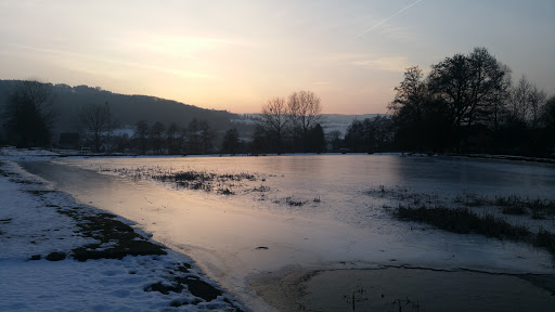 Fischbacher SV e.V. - Visual