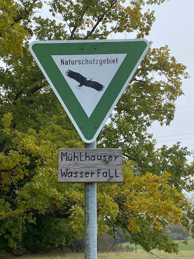 Mühlhauser Naturbadewelt - Thumbnail