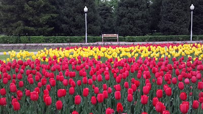 Photos of Park On The Old Square