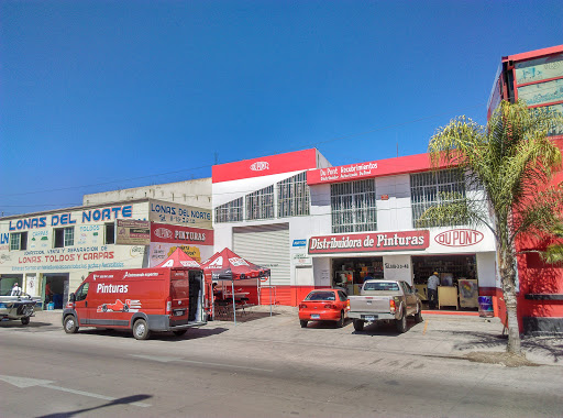 Paintings distributor Dupont