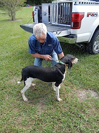Bay Creek Kennels Boarding