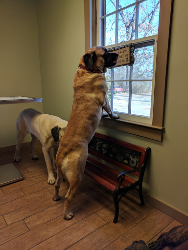 Red Barn Animal Hospital - Thumbnail