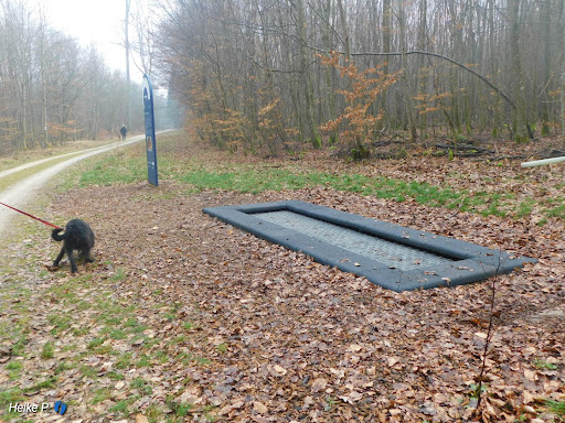 Trampolin am Neandertalerweg - Thumbnail