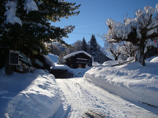 site_photo2