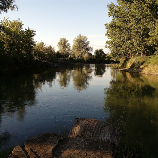 Municipality - Visual