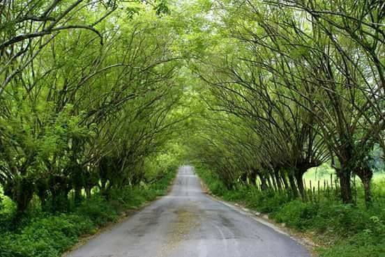 Sharet Tours Huasteca Potosina