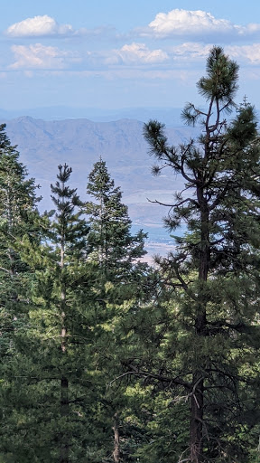 Riggs Flat Recreation Area