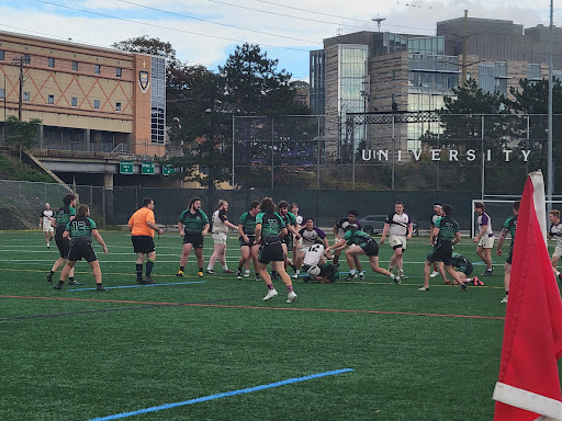 Fitzpatrick Field