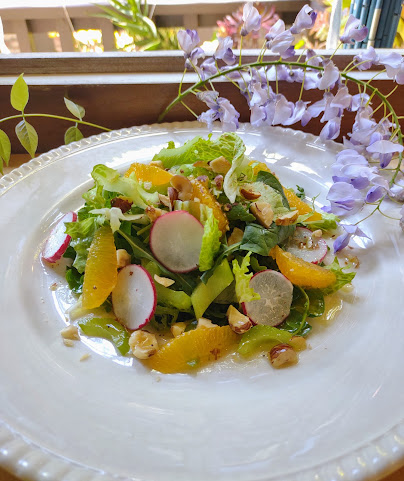 Lasagna Today by null