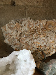 Photo n°32 de La Galerie du Fort Vauban à Fouras (Magasin d'antiquités)