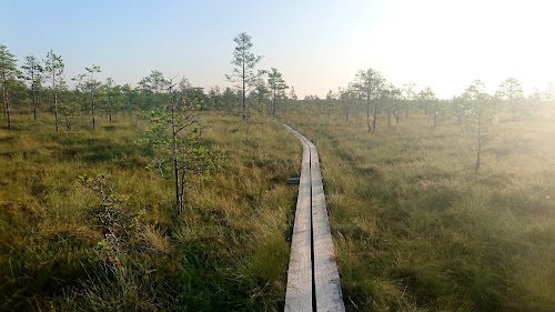 Paukjärve loodusrada