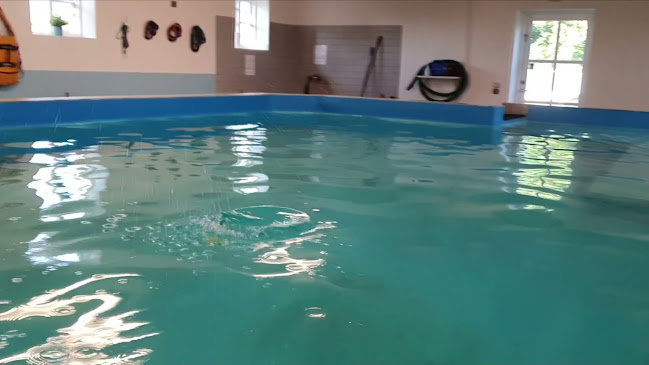 Opinii despre Frederikssund Hundecenter în Næstved - Hundetræner